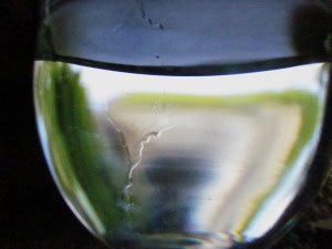 Inicios Julio 2011 003