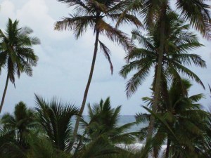 Inicios Julio 2011 007