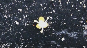 Inicios Julio 2011 015